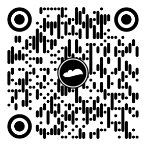 The Bot Scam QR Code