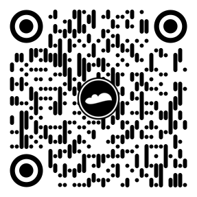 Secure It Fast QR Code